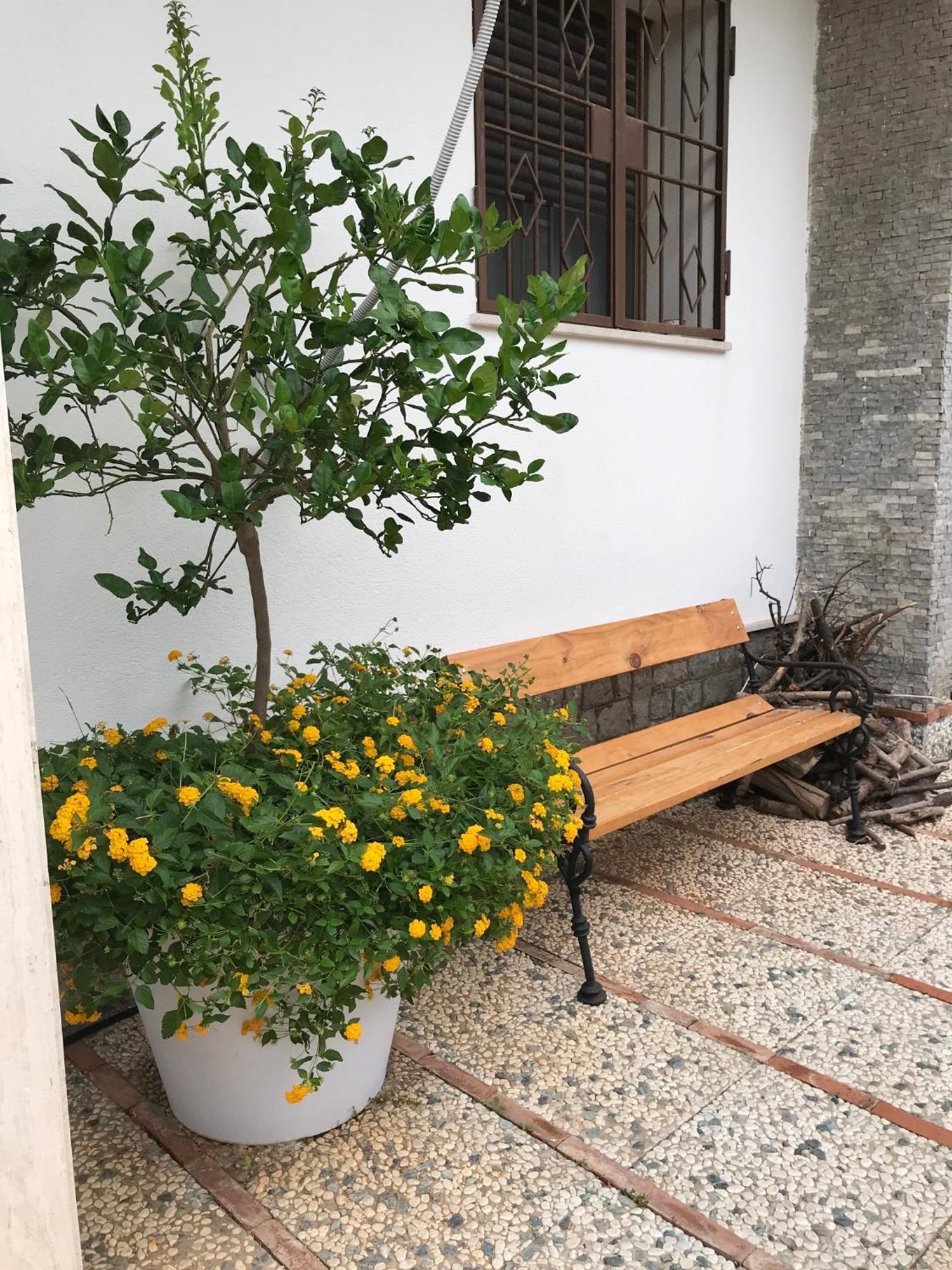 Holiday & House - Imparato Carini Costa Verde Εξωτερικό φωτογραφία